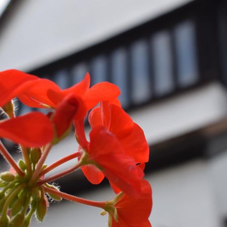 Alma Inn & Dining Rooms ハリッジ エクステリア 写真