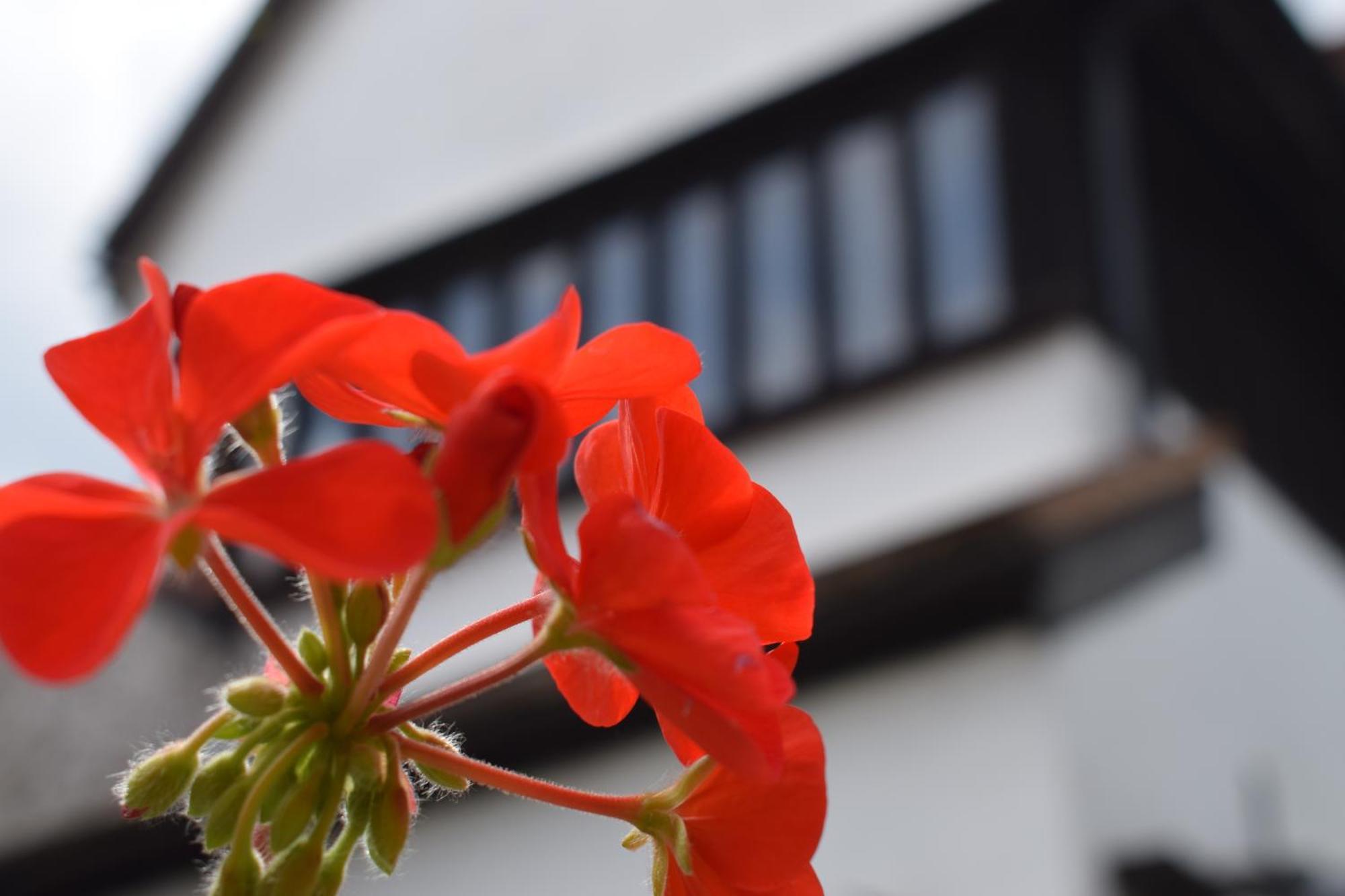 Alma Inn & Dining Rooms ハリッジ エクステリア 写真